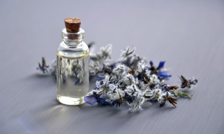 Best Essential Oils For Tattoo Healing And Long-Term Aftercare